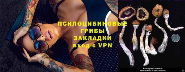 марки nbome Верхний Тагил