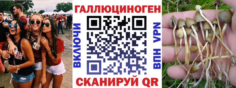 Псилоцибиновые грибы GOLDEN TEACHER  продажа наркотиков  Островной 
